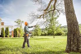 Best Lawn Dethatching  in Glasgow, VA